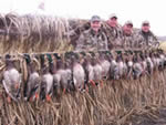 Early Season Duck 11-3-06